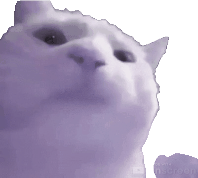 Cat vibing